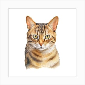 Chinese Li Hua Cat Portrait 2 Art Print