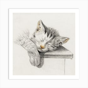 Sketch Of A Sleeping Cat 1, Jean Bernard Art Print