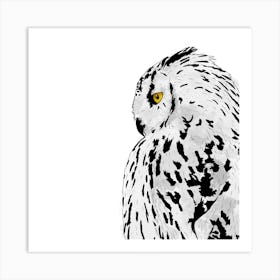Snowy Owl White Square Art Print