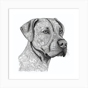 Doberman Pinscher Art Print