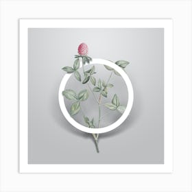 Vintage Pink Clover Minimalist Botanical Geometric Circle on Soft Gray n.0266 Art Print
