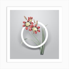 Vintage Ixia Tricolore Minimalist Flower Geometric Circle on Soft Gray n.0208 Art Print