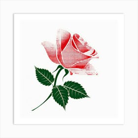 Red Rose On White Background Art Print