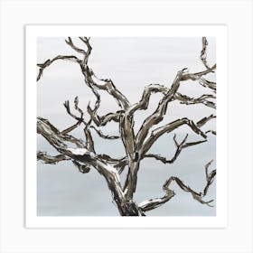 Winter Snow Tree Branches Art Print