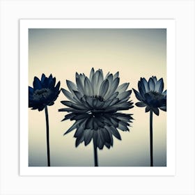 Three Blue Flowers hamptons Art Print