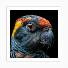 Parrot Portrait Art Print