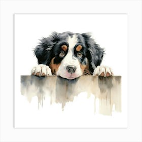 Bernese Mountain Dog 5 Art Print