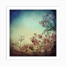 Pink Cherry Blossoms Art Print