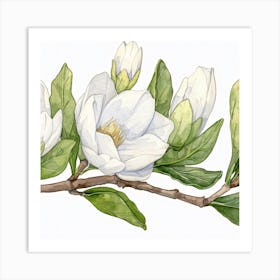 Magnolia Art Print