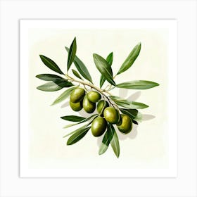 Olive Branch Art Print