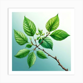 Draw A Close Up Of A Branch With Leaves In A Detailed Scientific Style Use A Light Background And (1) Art Print