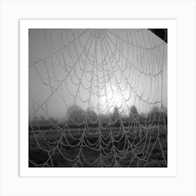Spider Web In The Mist Art Print