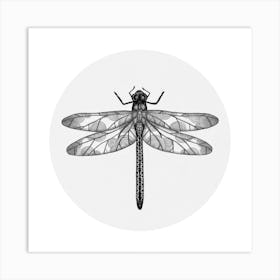 Dragonfly Square Art Print