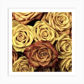 Flowers Roses Plant Bloom Blossom Art Print