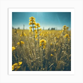 Sunflowers In The Field 6 Art Print