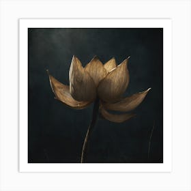 Lotus Art Print