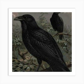 Crows Art Print