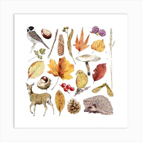Autumn Nature Brown Square Art Print