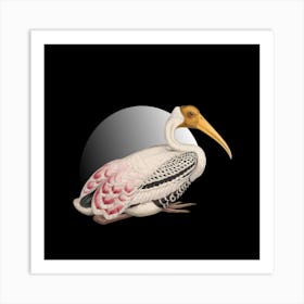 Stork Art Print