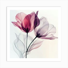 Pastel X Ray Icm Flowers 16 Poster