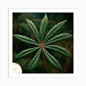 Sequoia leafs Art Print