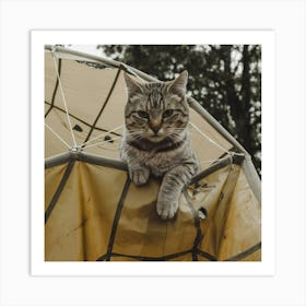 A Medium Shot Of A Cat With A Parachute Rsz1ni Kqbcaljwewva42w Kv M Fb0t62vnhrguxidxq Art Print