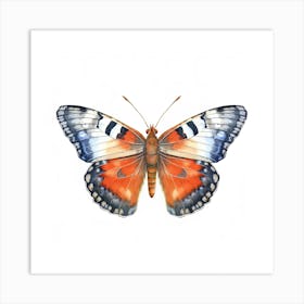 Butterfly 27 Art Print