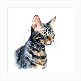 Black Bengal Cat Portrait Art Print