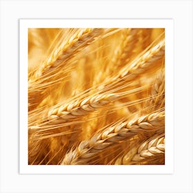 Golden Wheat 2 Art Print