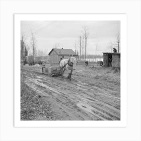 The Roads Are So Bad To The Transient Camp At Hagerman Lake, Michigan, That It Is Necessary To Haul Supplies By Mud Art Print