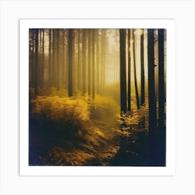 Foggy Forest 7 Art Print