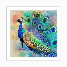 Peacock Painting Art Print