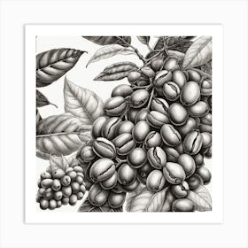 Coffee Beans 205 Art Print