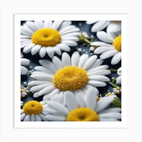 Daisy Flower Art Print