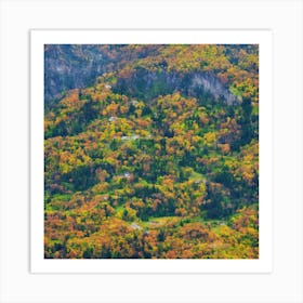 Fall Foliage In The Mountains Art Print