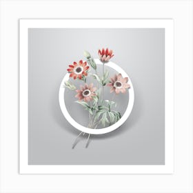 Vintage Broad Leaved Anemone Minimalist Flower Geometric Circle on Soft Gray Art Print