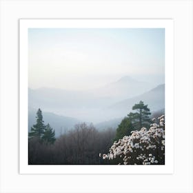 White Flower In The Mist Art Print