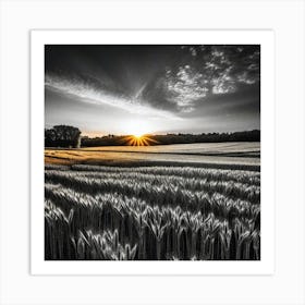 Sunset In The Field 21 Art Print