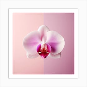 Flower of Orchid Art Print