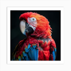 Macaw Parrot 1 Art Print