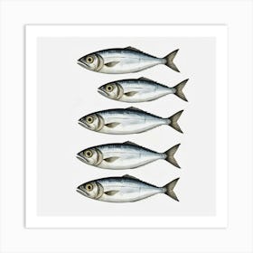 Sardines 4 Art Print