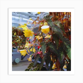 Flora Of California Art Print