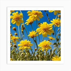 Yellow Flowers In A Field 5 Art Print