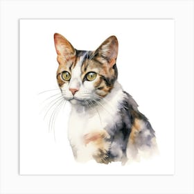 American Wirehair Cat Portrait 3 Art Print