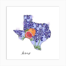 Texas - Illustrated States Art Print