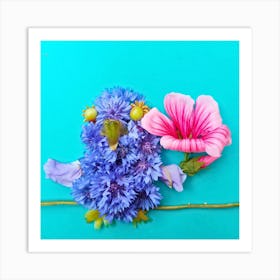 Cornflower Art Print