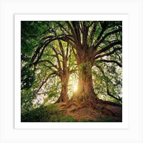 Tree Of Life 1 Art Print