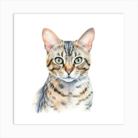 Cashmere Bengal Cat Portrait 2 Art Print