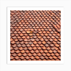 Tile Roof 3 Art Print