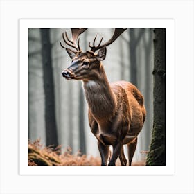 Deer In The Forest 12 Art Print